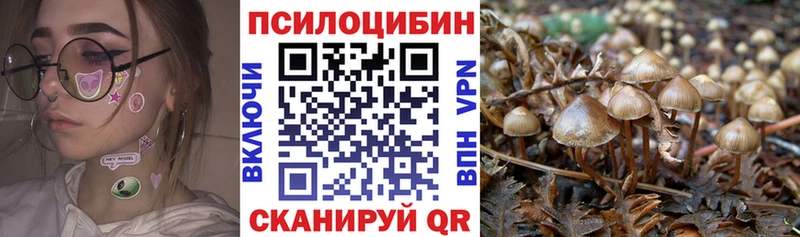 Псилоцибиновые грибы Cubensis  мега зеркало  Таганрог  где найти  